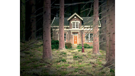 Link to high resolution image